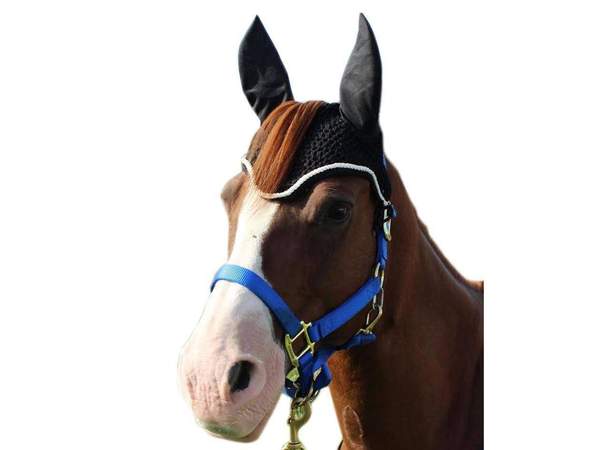 Paris Tack Crochet Horse Fly Veil Ear Bonnet with Forelock Opening Main Image