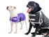 products/Derby_600D_Dog_Blanket_Coat_Waterproof_2-Dogs_80-8125..jpg