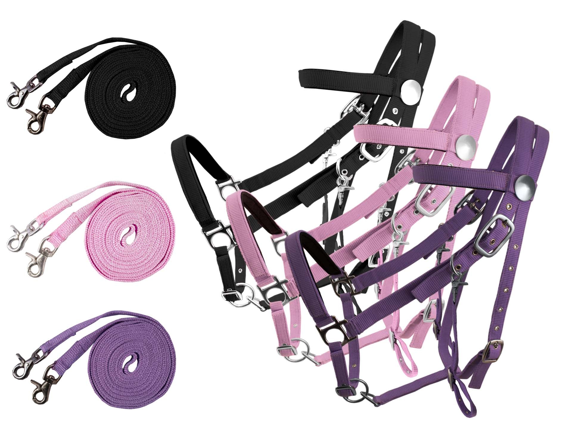 Derby Padded Nylon Halter Bridle Combo With Reins Plain