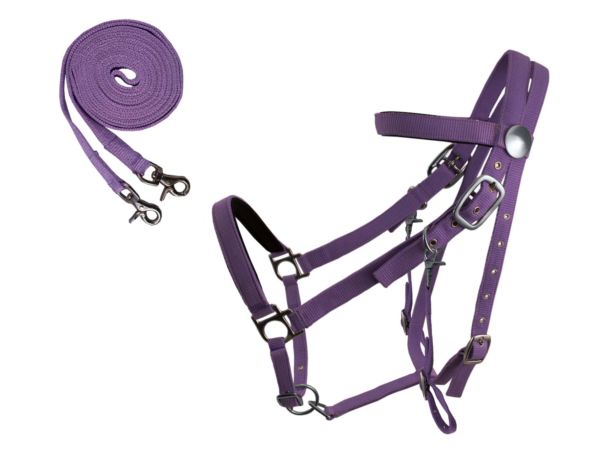 Derby Padded Nylon Halter Bridle Combo With Reins Plain Purple color