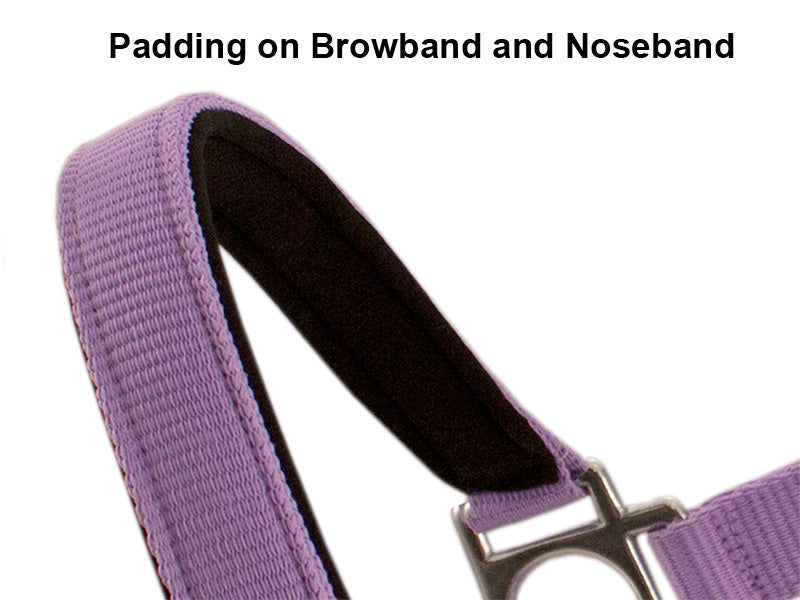 Derby Padded Nylon Halter Bridle Combo With Reins Plain