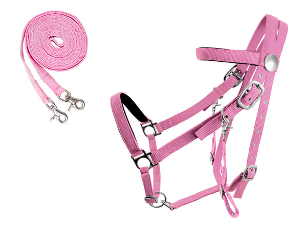 Derby Padded Nylon Halter Bridle Combo With Reins Plain