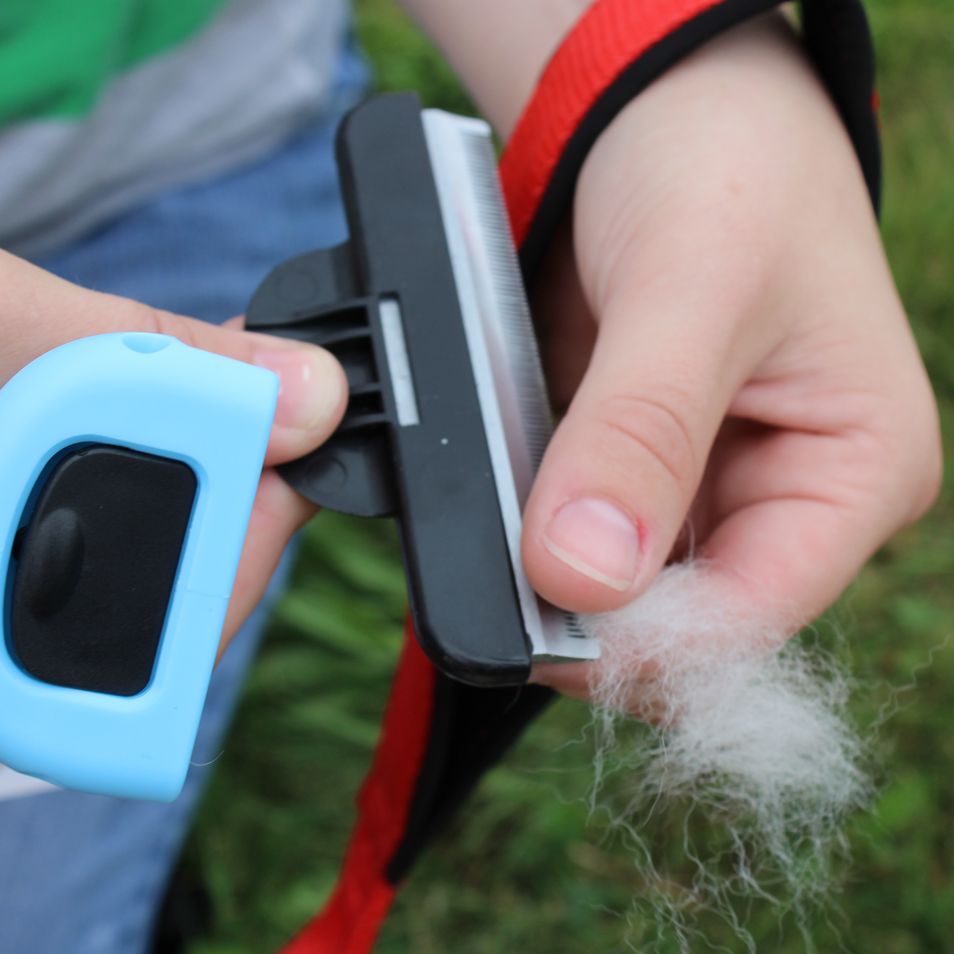 Pet Grooming Comb in Sizes by cuteNfuzzy® Removeable Handle Fur