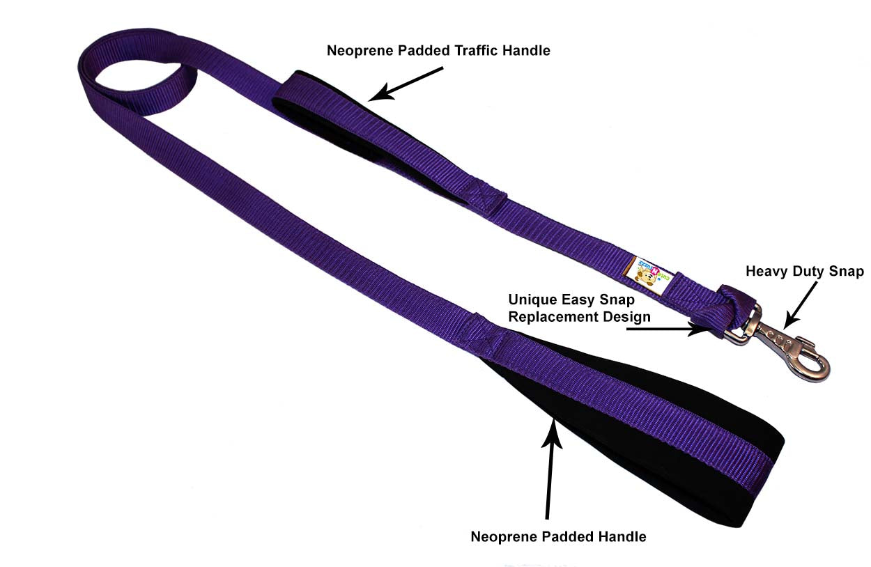 Padded Double Handle Dog Leash Warranted Replaceable Snap labels
