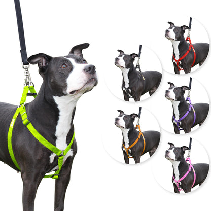 Step in Dog Harness by cuteNfuzzyÂ® Green Swatch