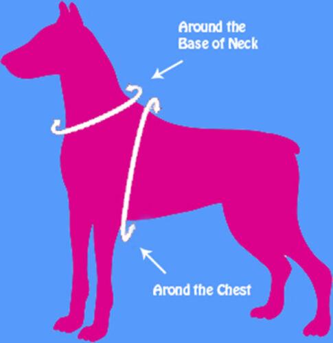 Step in Dog Harness by cuteNfuzzyÂ® Measurement