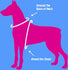 products/Dog_Harness_Step-In_Measurement_Areas_97-7301.jpg