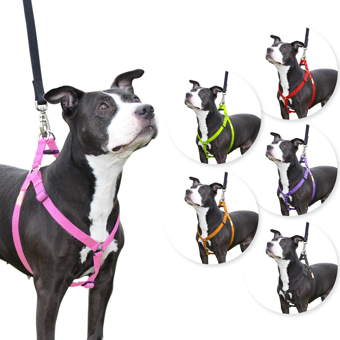 Step in Dog Harness by cuteNfuzzyÂ® Pink Swatch