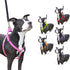 Step in Dog Harness by cuteNfuzzyÂ®