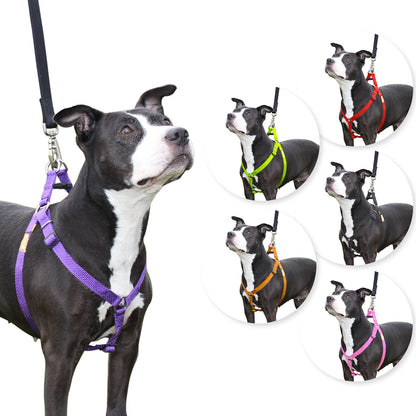 Step in Dog Harness by cuteNfuzzyÂ® Purple Swatch