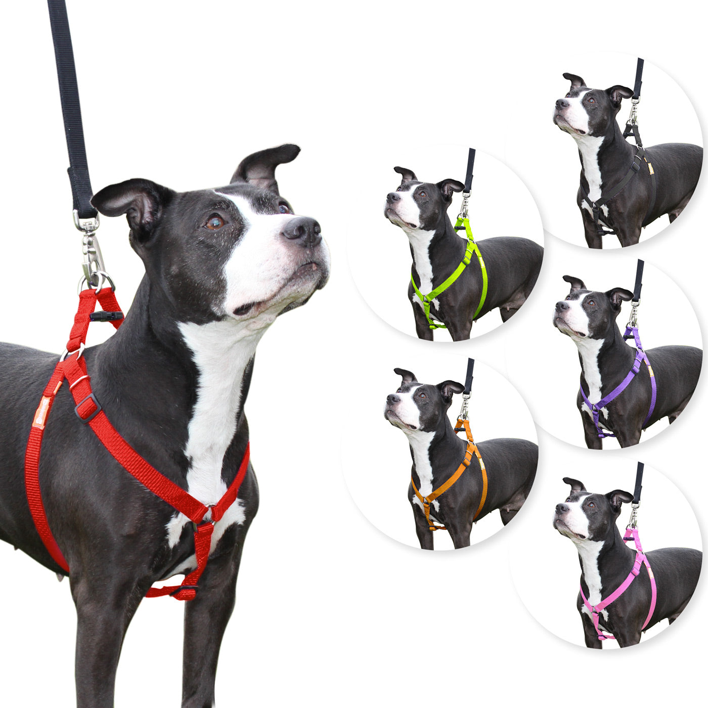 Step in Dog Harness by cuteNfuzzyÂ® Red Swatch
