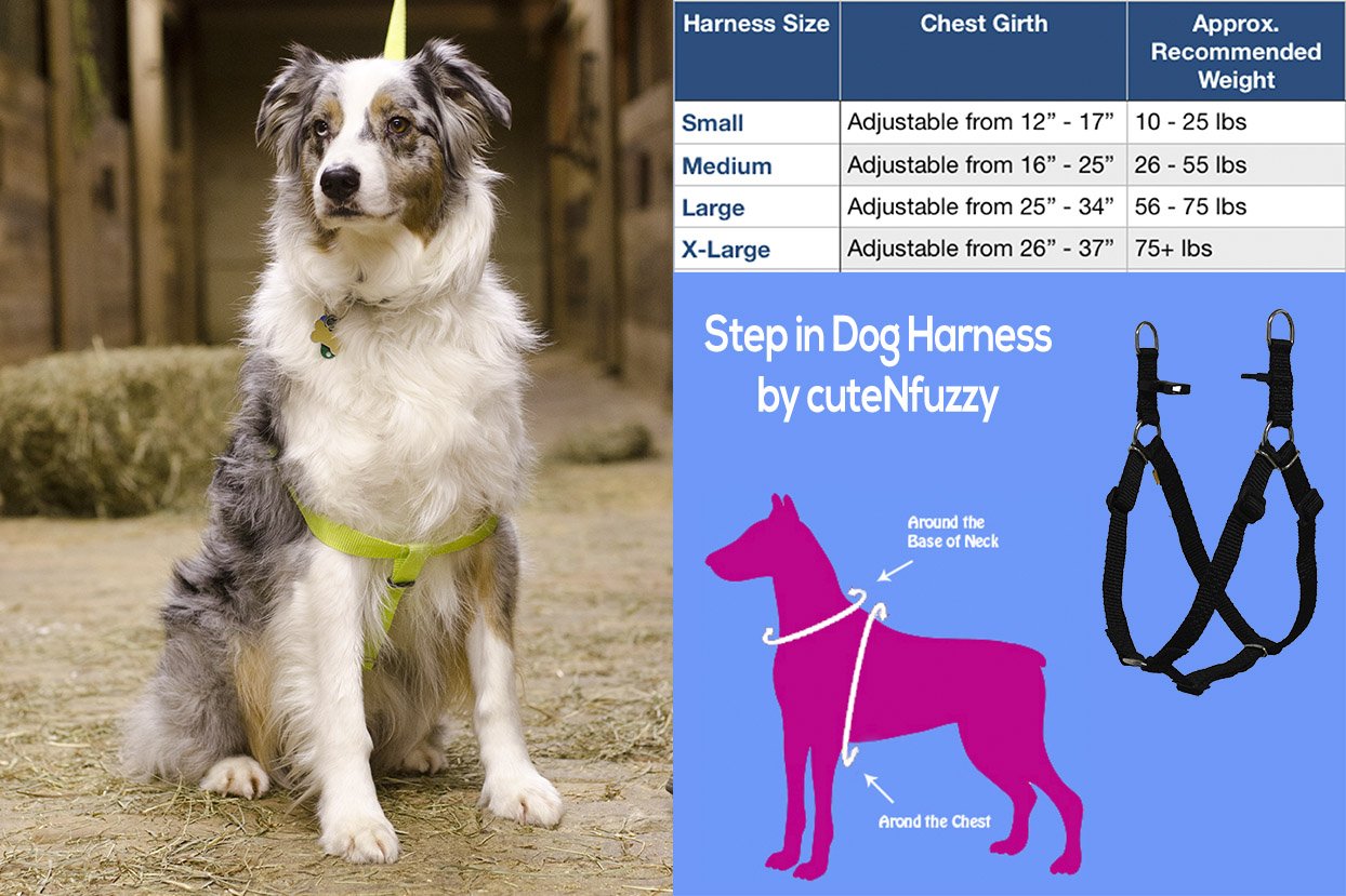 Step in Dog Harness by cuteNfuzzyÂ® SizeChart