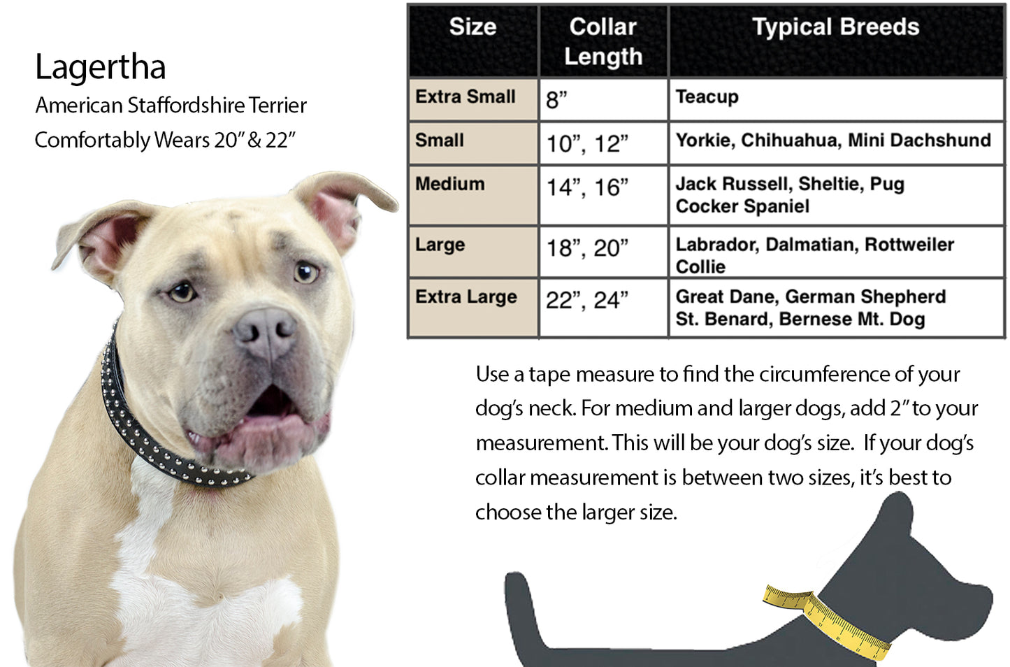 Derby Dog Designer Series USA Leather Padded Dog Collar with Swarovski Crystal Inlay with Stainless Steel Rolled Buckle for Comfort Measurement