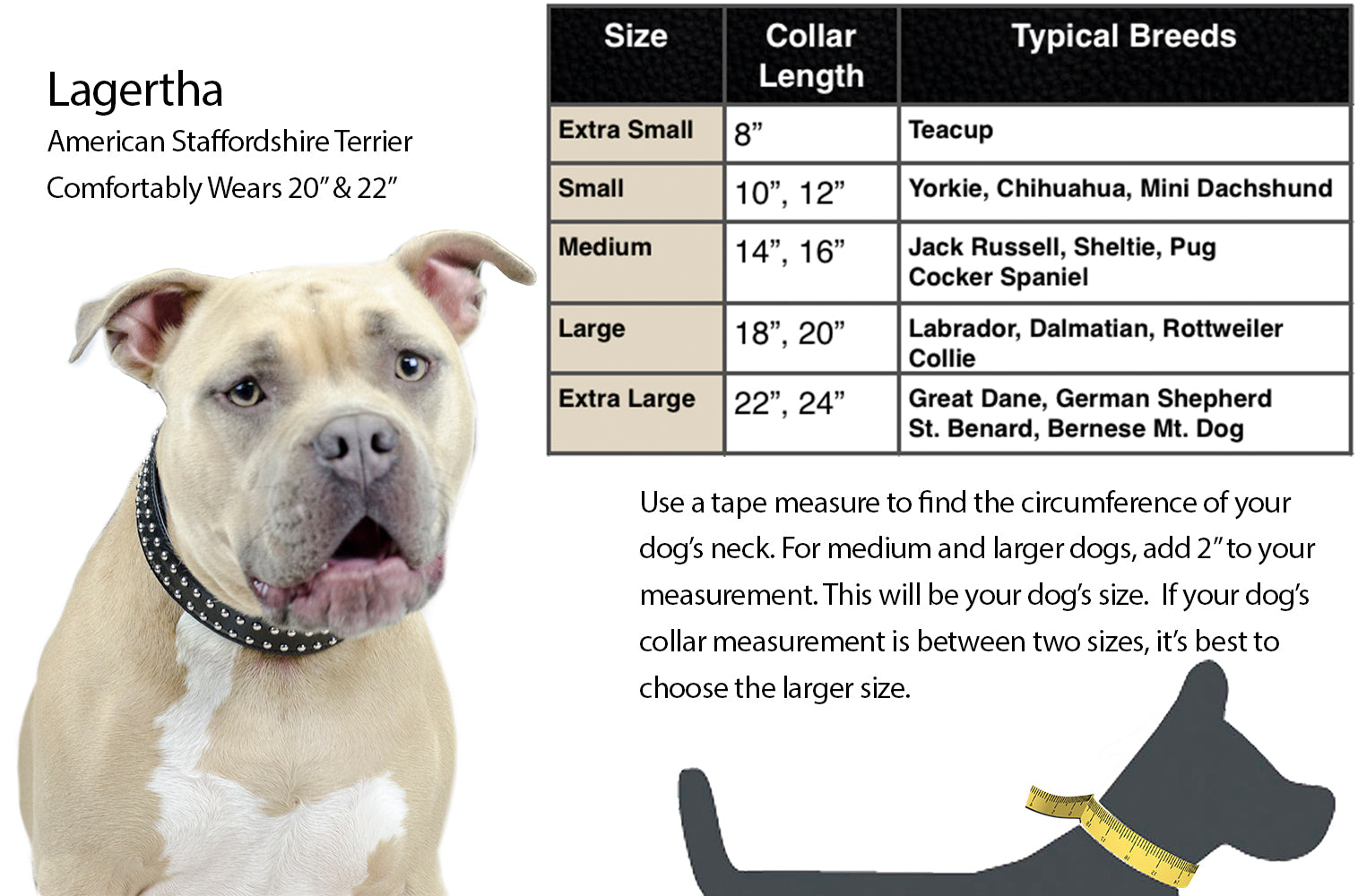 Derby Dog Designer Series Tooled USA Leather Padded Barbwire Dog Collar with Stainless Steel Rolled Buckle for Comfort Measurement