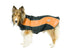 products/Double_Layer_Fleece_Cold_Weather_Adventure_Dog_Coat_Orange_Main_8065.jpg