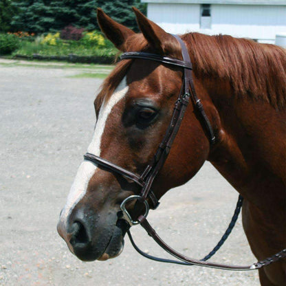 Paris Tack Everyday Raised Fancy Stitched Leather English Schooling Bridle with Laced Reins Featured Image