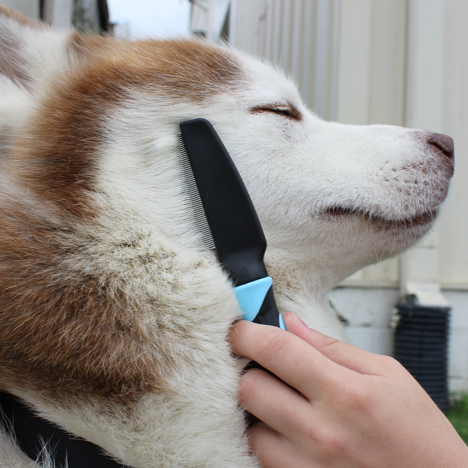 Pet Flea Comb Pet Lifestyle Brush