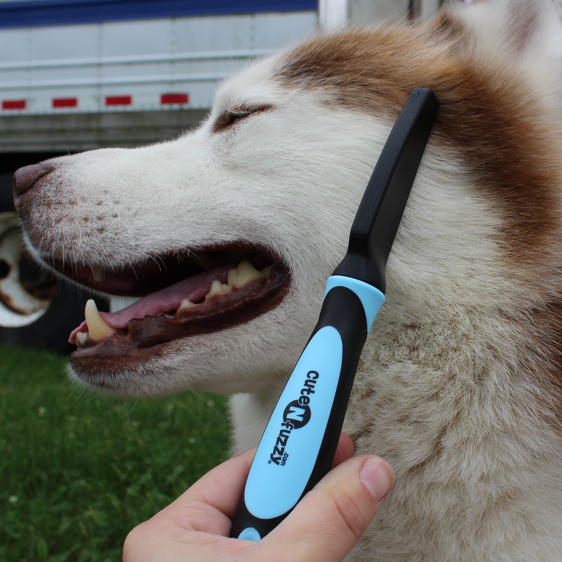 Pet Flea Comb by cuteNfuzzy Banner Image