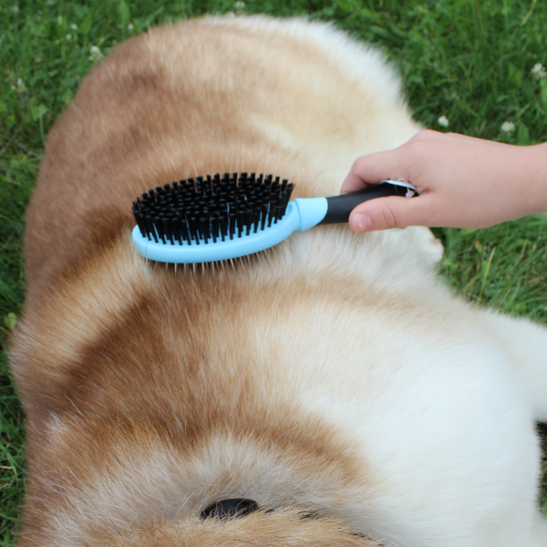 Double Sided Pet Grooming Brush by cuteNfuzzy®