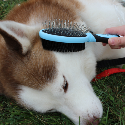 Double Sided Pet Grooming Brush Dog Lifestyle