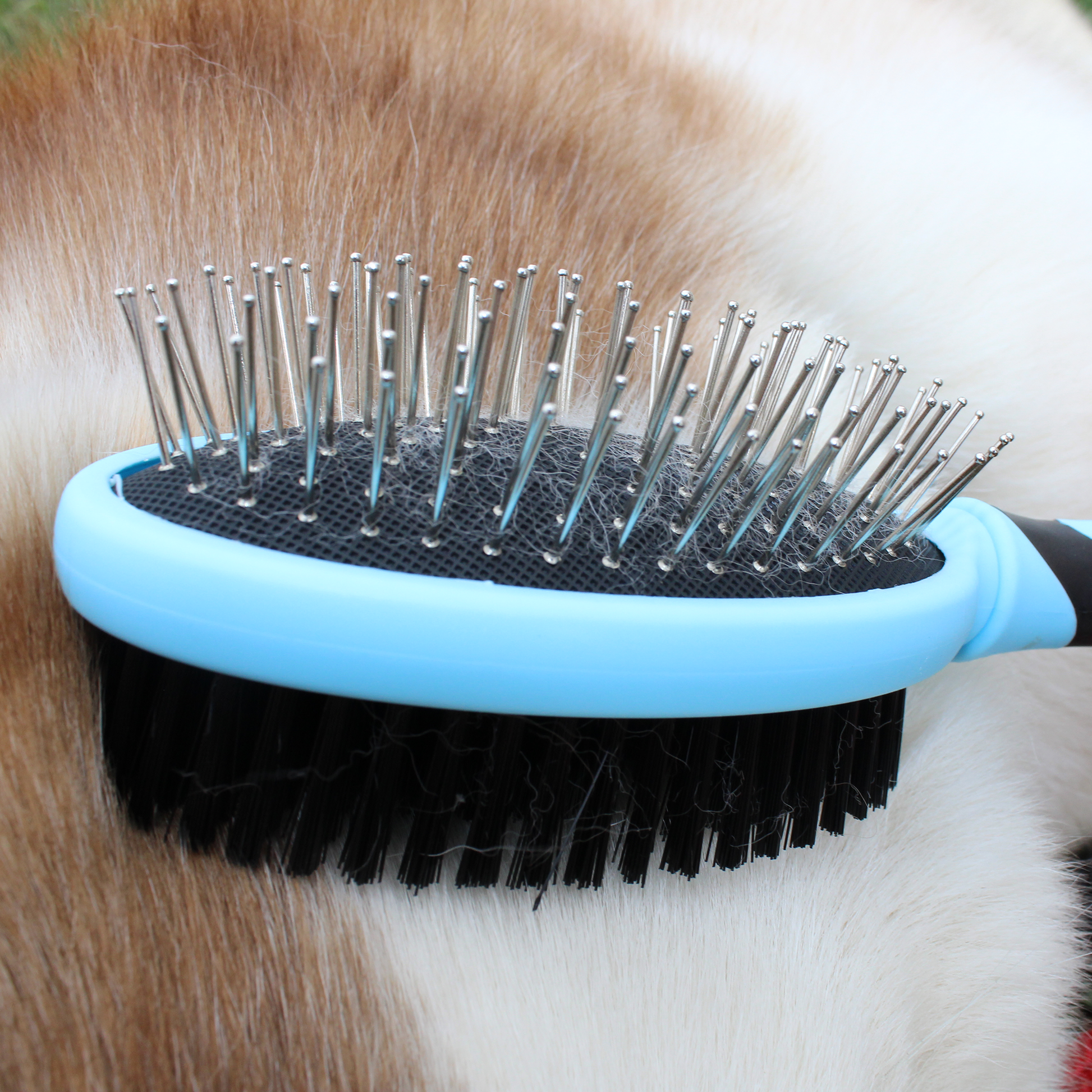 Double Sided Pet Grooming Brush Dog lifestyle closeup