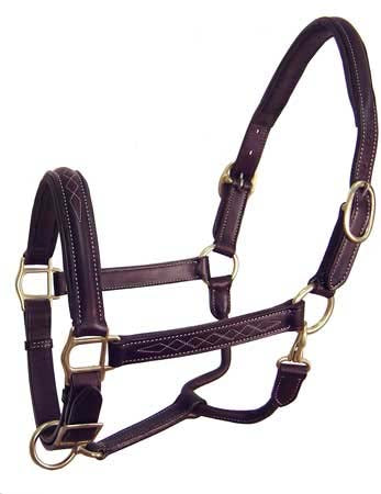 American Elite Fancy Stitch Padded Adjustable Halters