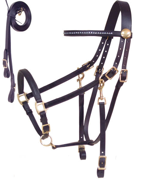 Derby Rhinestone Halter Bridle Combo with Reins