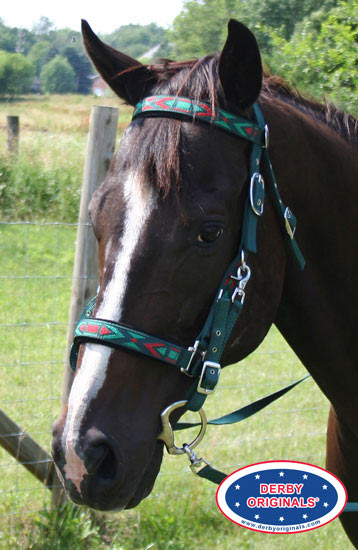 Derby Padded Nylon Halter Bridle Combo with Reins Aztec Overlay