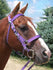 products/Halter_Bridle_Purple_Horse.v2.jpg