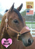 products/Halter_Bronc_Sweetheart_Horse.v2.jpg