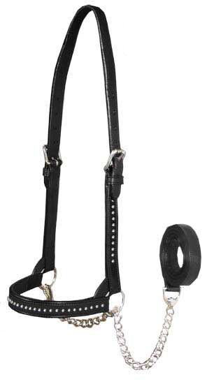 Derby New and Improved Premium Show Spotted Flat Leather Cattle Show Halter black