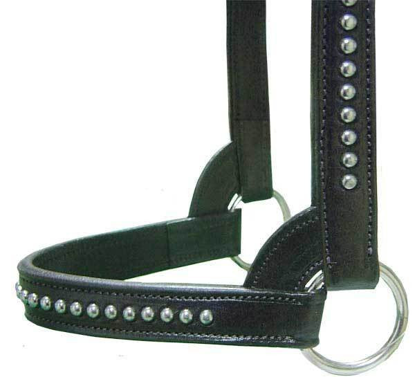 Derby New and Improved Premium Show Spotted Flat Leather Cattle Show Halter with Matching Chain Lead - One Year Limited Manufacturer’s Warranty