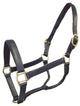 Derby Originals English Opulence Series - Oxford - Fancy Stitch Padded Leather Halter
