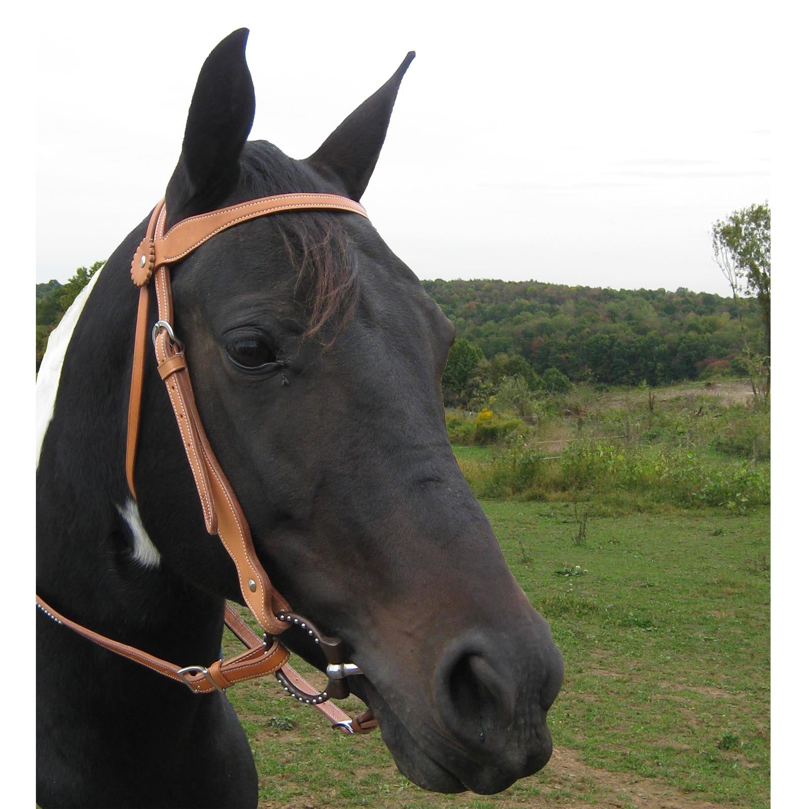 Tahoe Tack Country Double Layer Western Browband Headstall USA Leather Banner Image