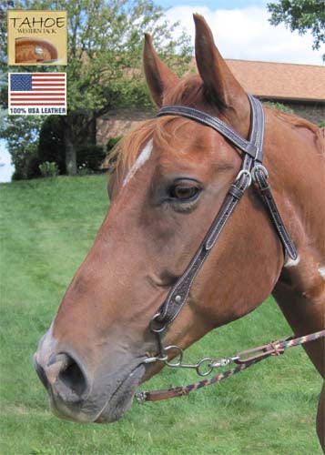 Tahoe Tack USA Leather Leaf Tooled Western Browband Headstall   Banner