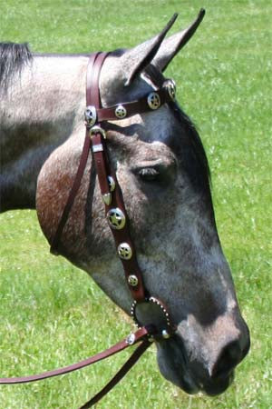 Tahoe Tack Patriotic Silver Star Concho Leather Western  Headstall, Breastcollar, and Reins Set