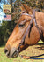 products/Headstall_Red_River_Knotted_Horse.jpg