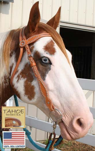 Tack Hand-Inlaid Pink Swarovski Crystal Western Headstall