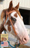 products/Headstall_Santa_Rosa_Browband_Horse.jpg