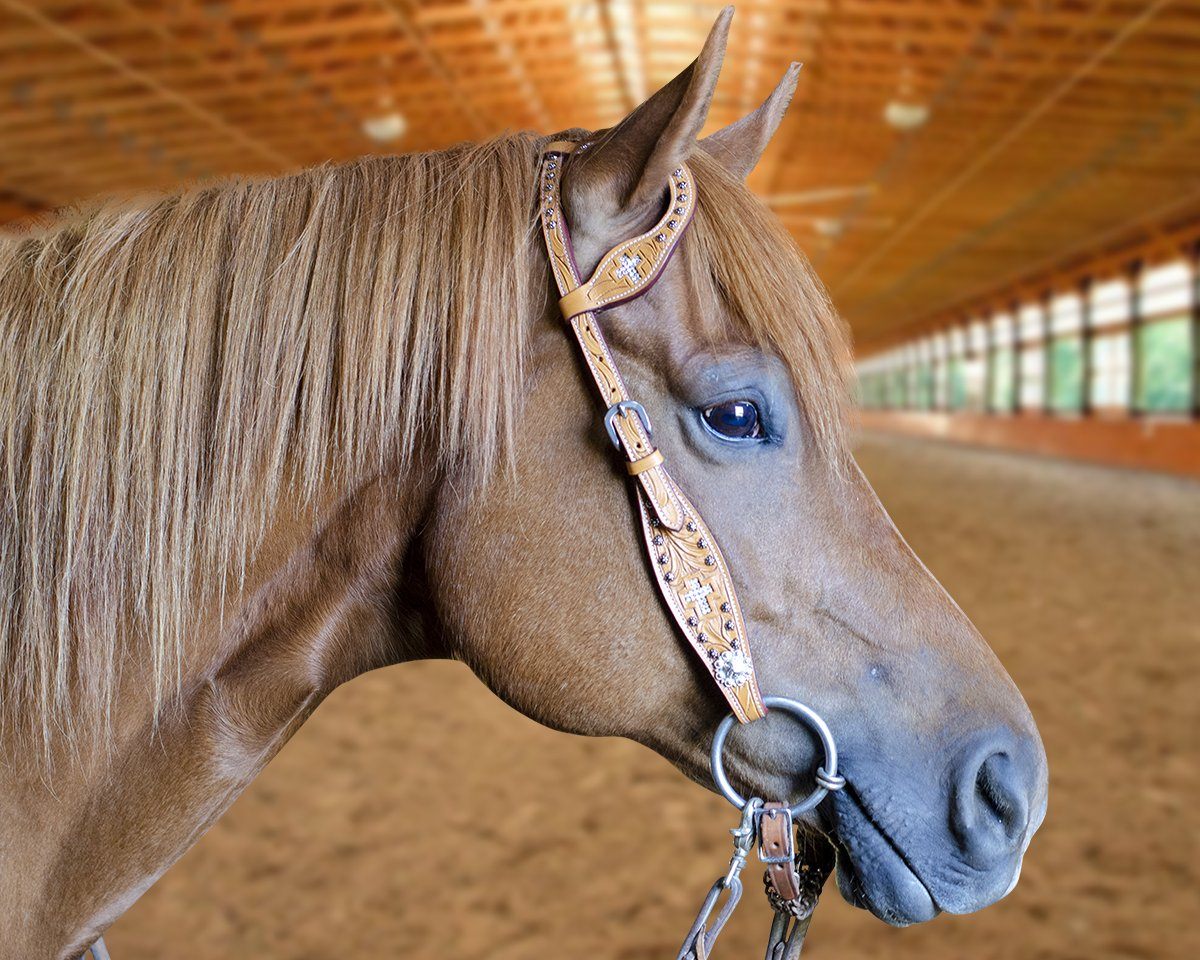 Tahoe Tack Show Crystal Cross Hand-Tooled Western Slip Ear Headstall Lifestyle