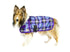 products/Horse-Tough_1200D_Waterproof_Ripstop_Nylon_Winter_Dog_Coat_Arctic-Purple-Plaid_Main_80-8081.jpg