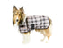 products/Horse-Tough_1200D_Waterproof_Ripstop_Nylon_Winter_Dog_Coat_Green-Fawn-Plaid_Main_80-8081.jpg