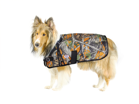 Derby Originals Canvas Feed Bag – No-Spill Flap, Padded Leather Strap (Model 71-7108V2)