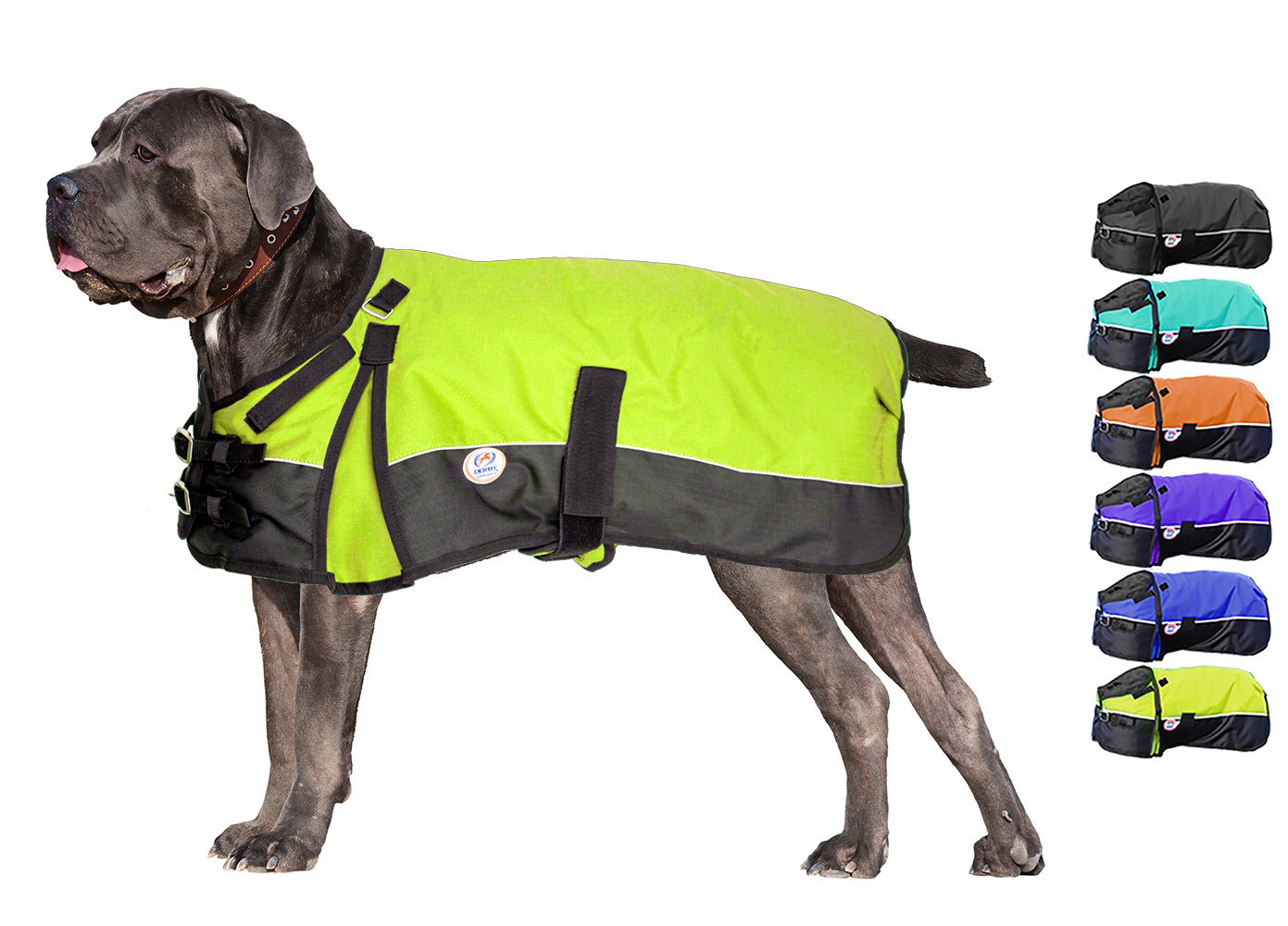 Horse-Tough Reflective 600D Waterproof Ripstop Nylon Winter Dog Coat lime green