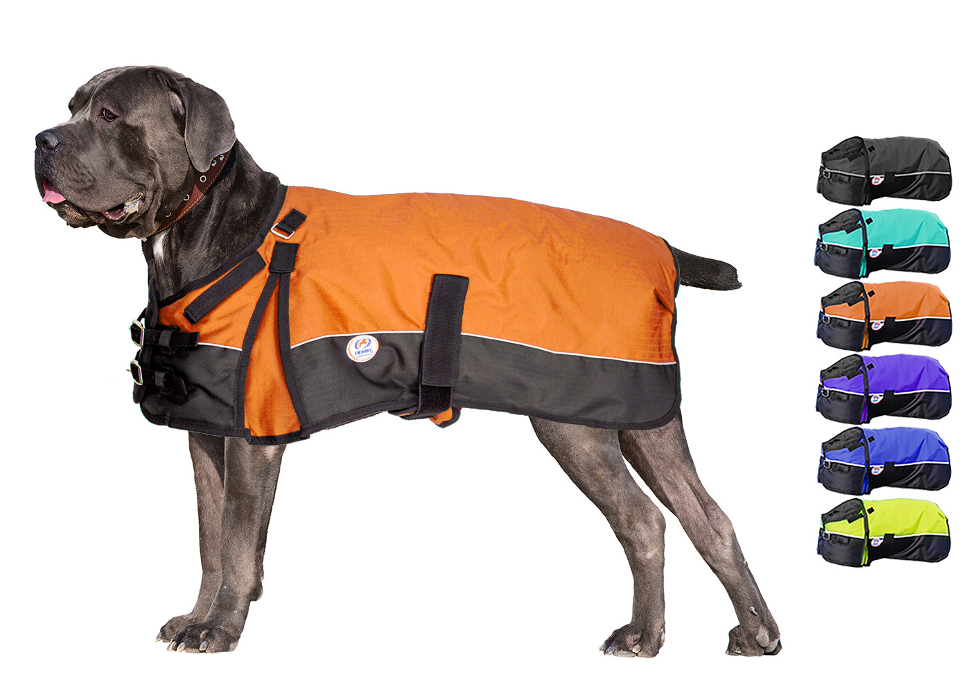 Horse-Tough Reflective 600D Waterproof Ripstop Nylon Winter Dog Coat orange 