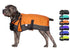 products/Horse-Tough_Dog_Coat_Extra_Large_Orange_Swatch_80-8124V2.jpg