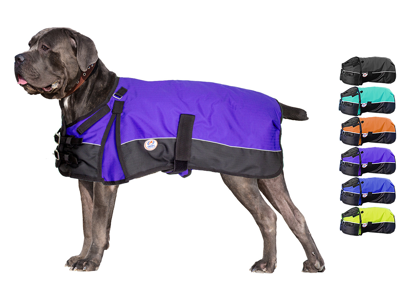 Horse-Tough Reflective 600D Waterproof Ripstop Nylon Winter Dog Coat purple swatch