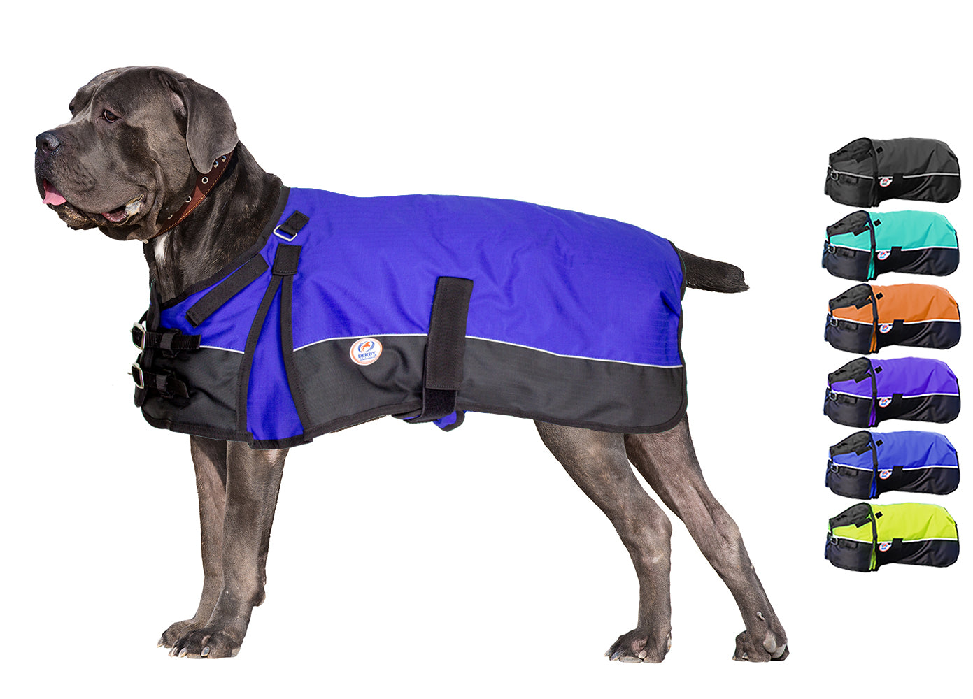 Horse-Tough Reflective 600D Waterproof Ripstop Nylon Winter Dog Coat royal blue