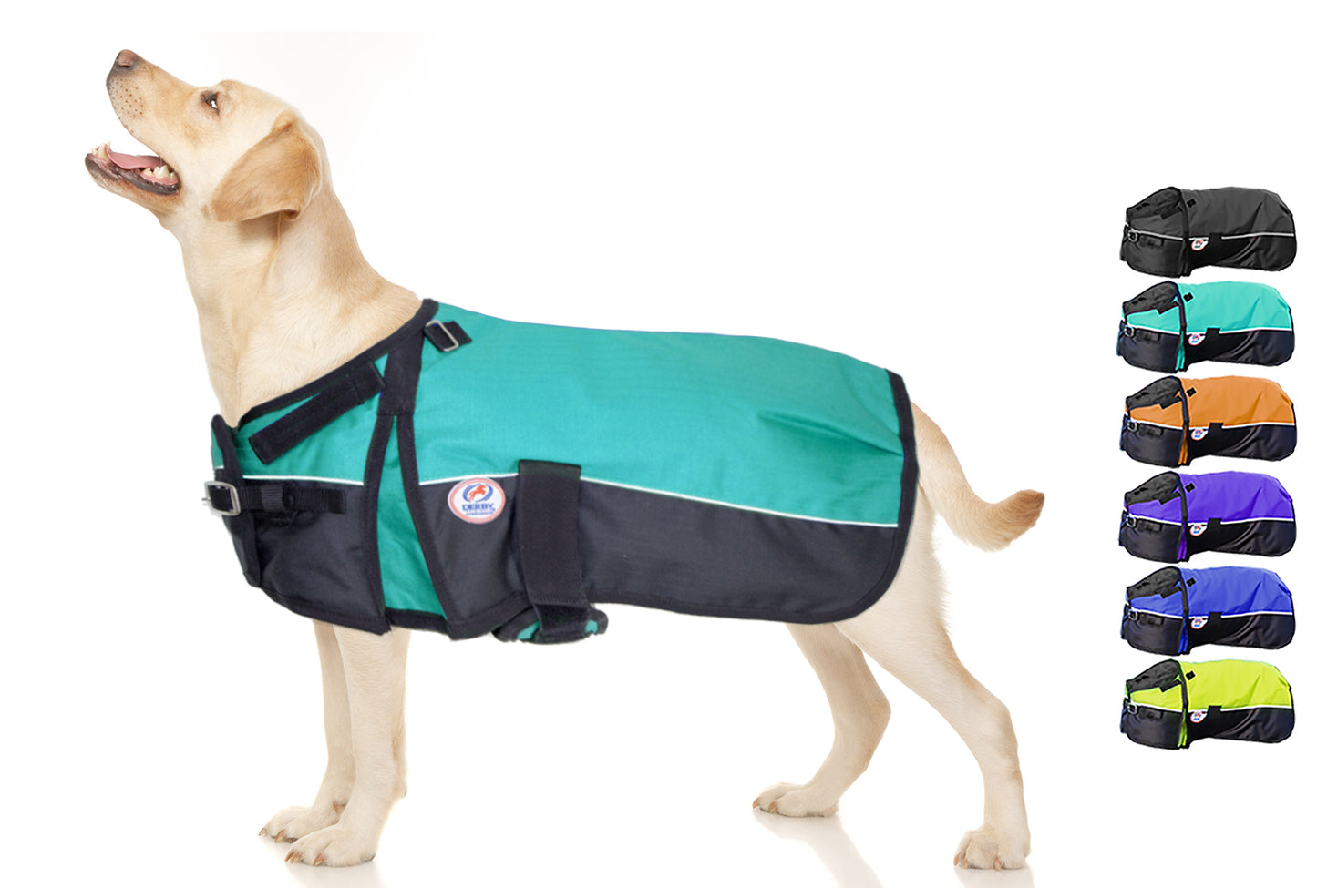 Horse-Tough Reflective 600D Waterproof Ripstop Nylon Winter Dog Coat large turquoise