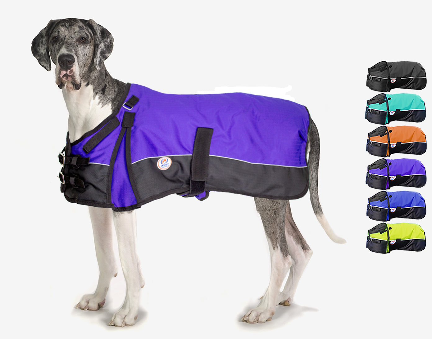 Horse-Tough Reflective 600D Waterproof Ripstop Nylon Winter Dog Coat purple swatch